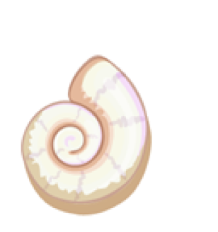 osairo world image: decorate-conch