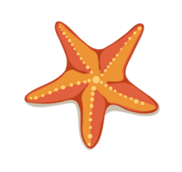 osairo world image: decorate-starfish